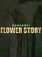 スタッフのプロフィール