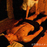 しのさん特設コース